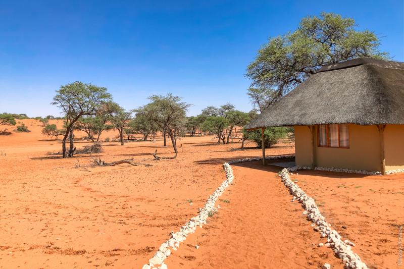 Намибия: Оранжевое настроение под ярко-голубым небом пустыни