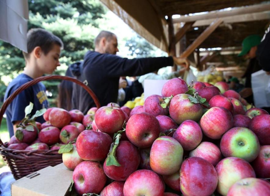 Алматыда Apple Fest-те 1700 литр алма компоты қайнатылды