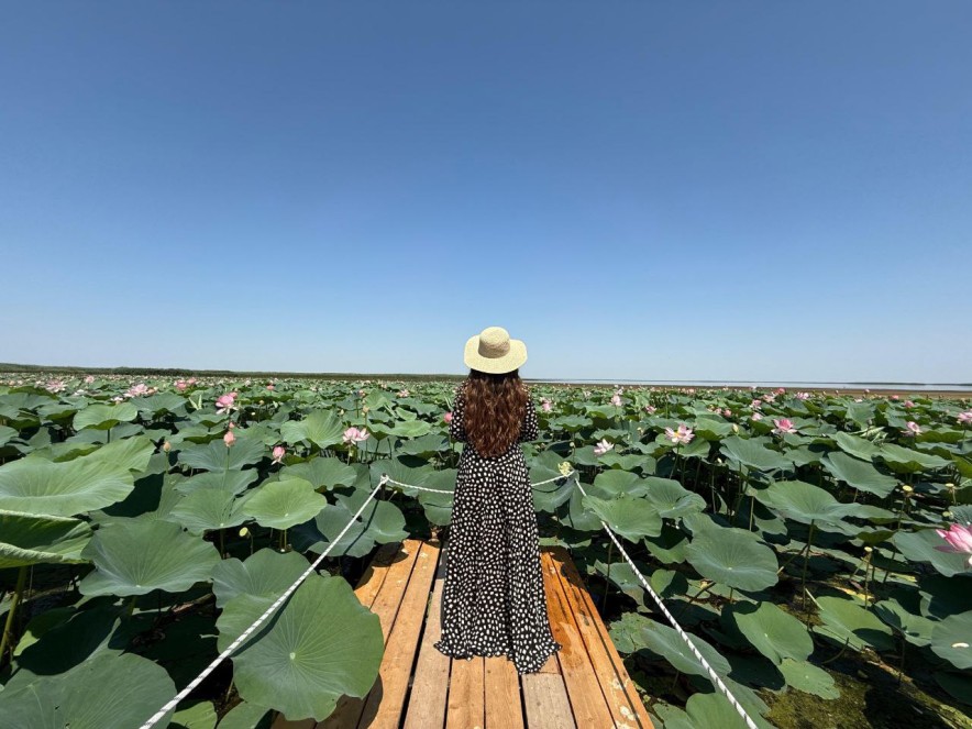 21 шілдеде Атырау облысында «LOTUS FEST-2025» фестивалі өтеді