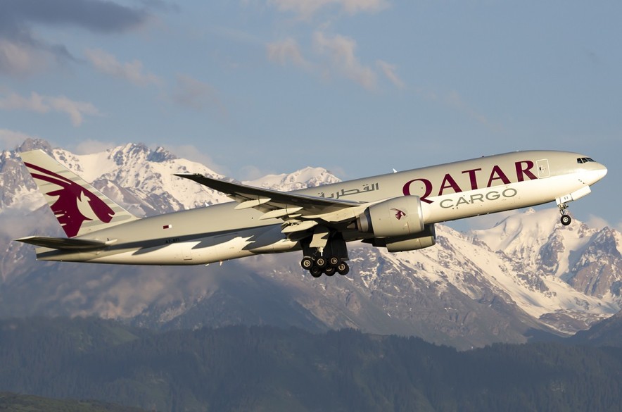 Qatar Airways оспаривает решение австралийского суда по делу о скандальном досмотре в аэропорту Дохи