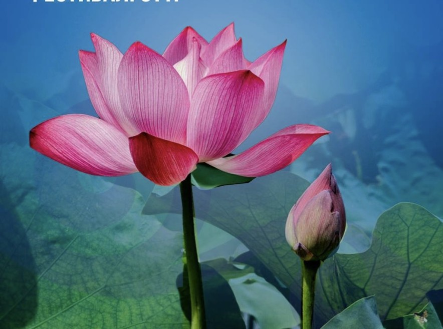 «Lotus Fest – 2025» халықаралық фестиваліне 10 мыңнан астам турист қатысты