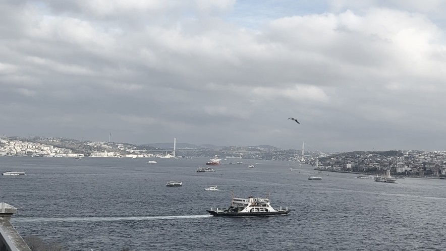 Ураганный шторм обрушился на Стамбул: поваленные деревья, отменённые рейсы и перебои в транспорте