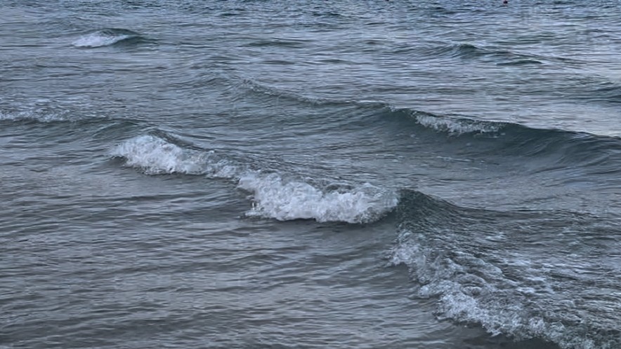 Аральское море оживает после десятилетий упадка