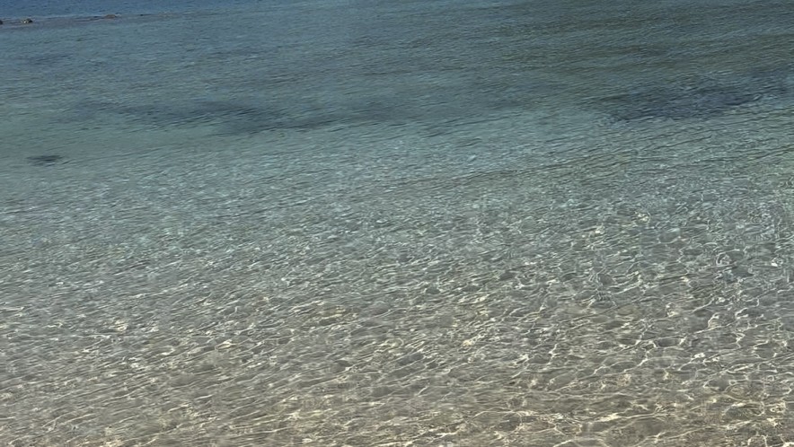 Медузы на Мальдивах напали на туристов