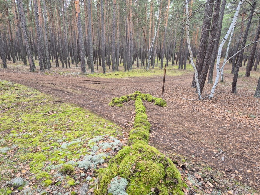 Экологическая идеология ГНПП "Бурабай": как сохранить природу в условиях растущего турпотока