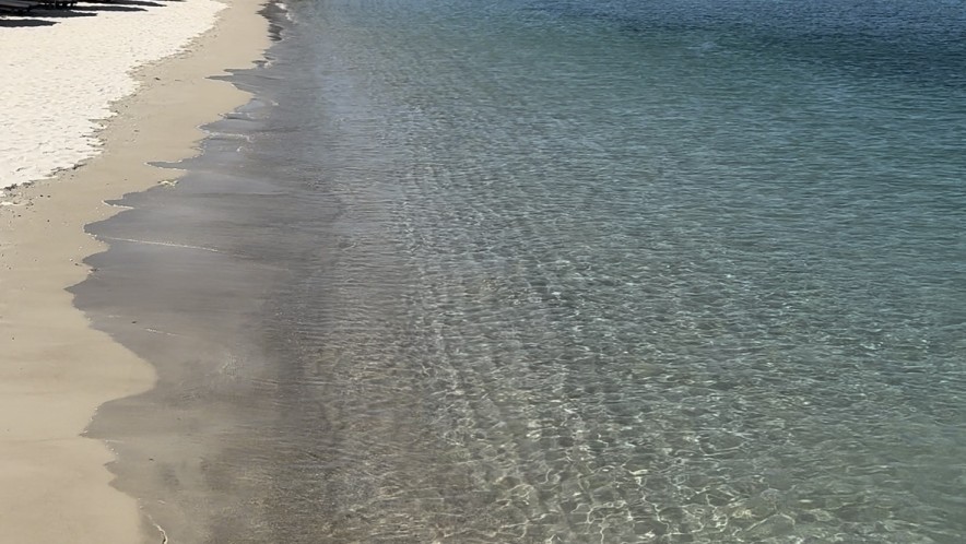 Двухметровый питон всполошил отдыхающих на пляже в Таиланде