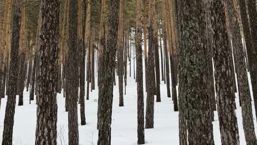 Как отдохнуть в Бурабае: экотропы, веломаршруты и прогулки по заповедным местам
