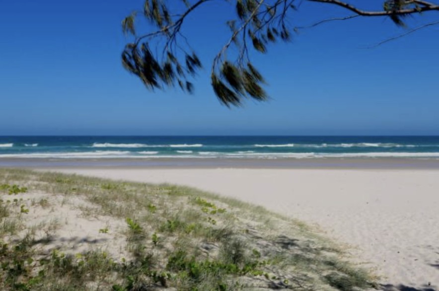 Недооцененная жемчужина Азии: город с пальмовыми пляжами, который советуют посетить в 2026 году