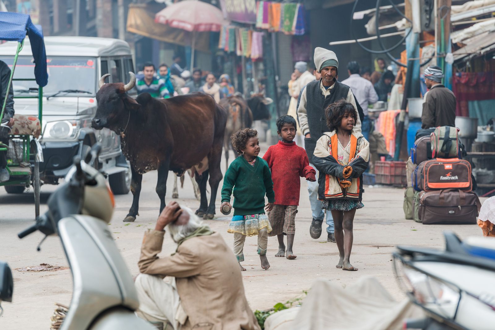 Варанаси Индия дети и корова