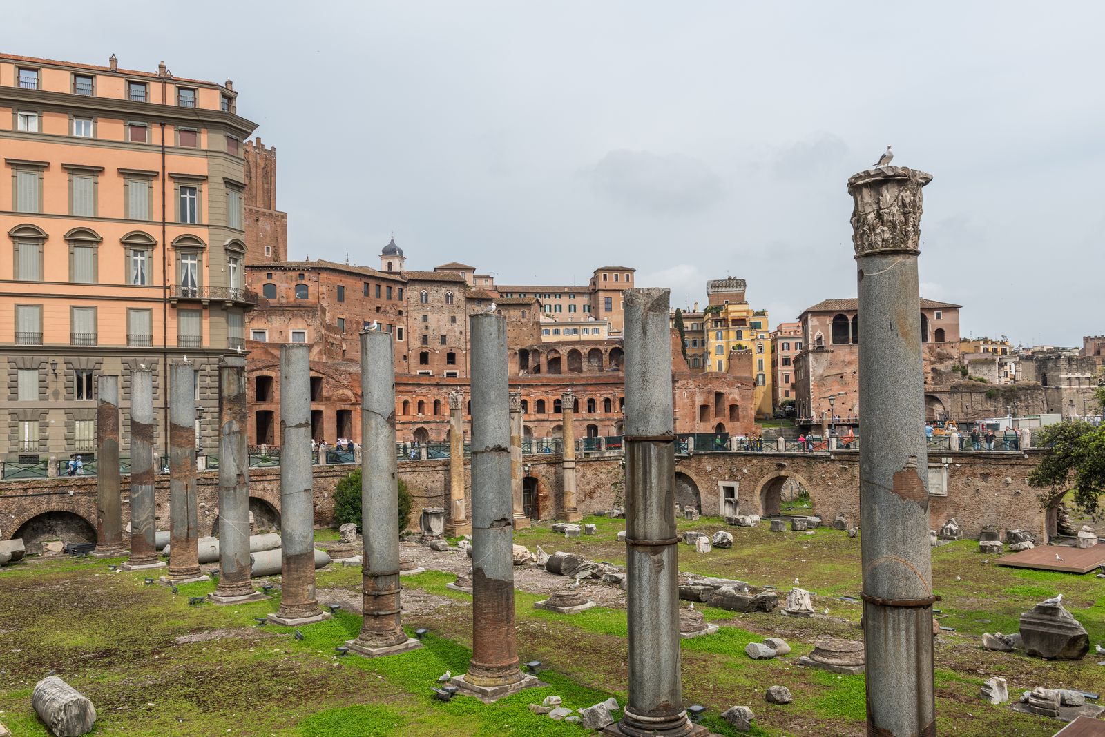 Жалаңаш Наталья Шамина